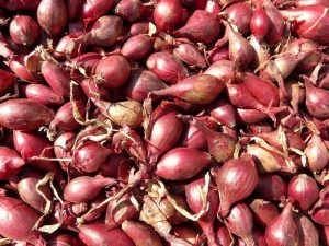 red-shallots-5768_960_720