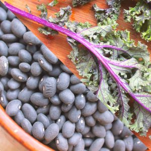 Black Beans and Kale Save the World by Ellen Kanner