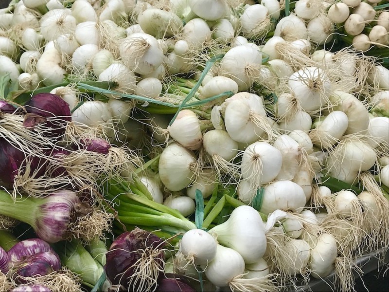 A pile of fresh onions with greens and roots attached.