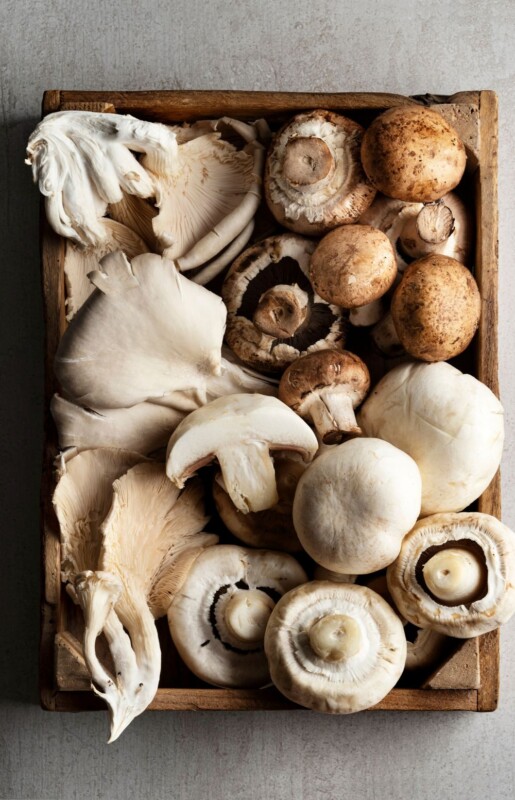 A tray of various mushrooms.