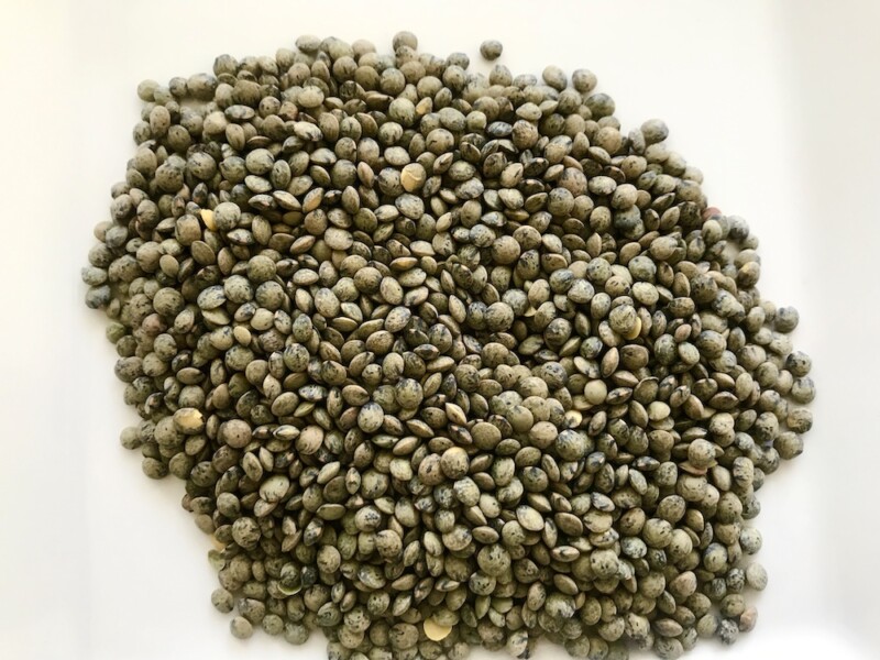 A pile of dried lentils. 
